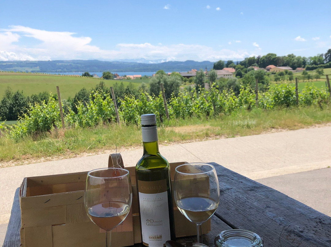 Domaine De Gourmandaz-Corcelles-Près-Concise必去景点