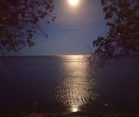 Kingston Beach Lounge