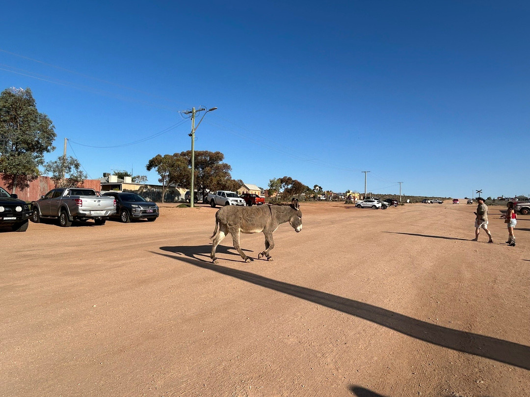 Silverton Pub-Silverton必去景点