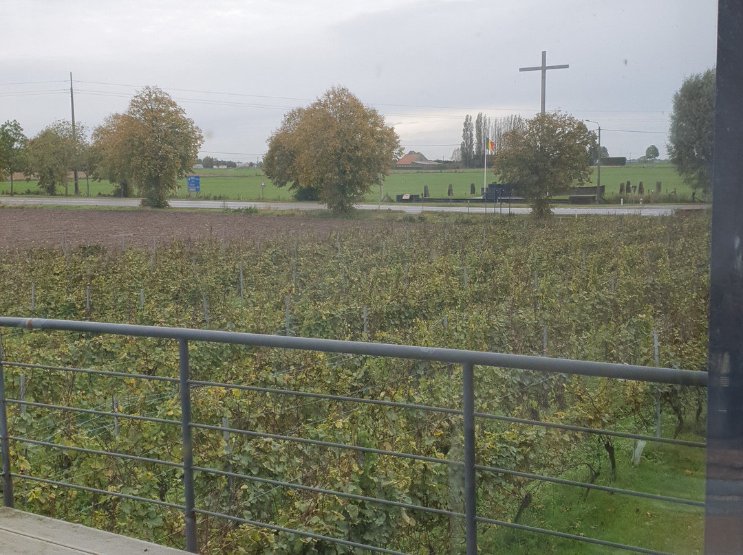 Zilver Cruys Winery景点图片