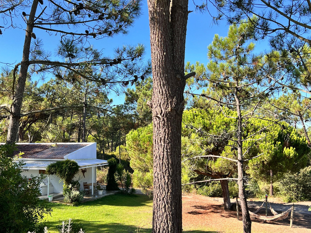 Casal Do Frade主图