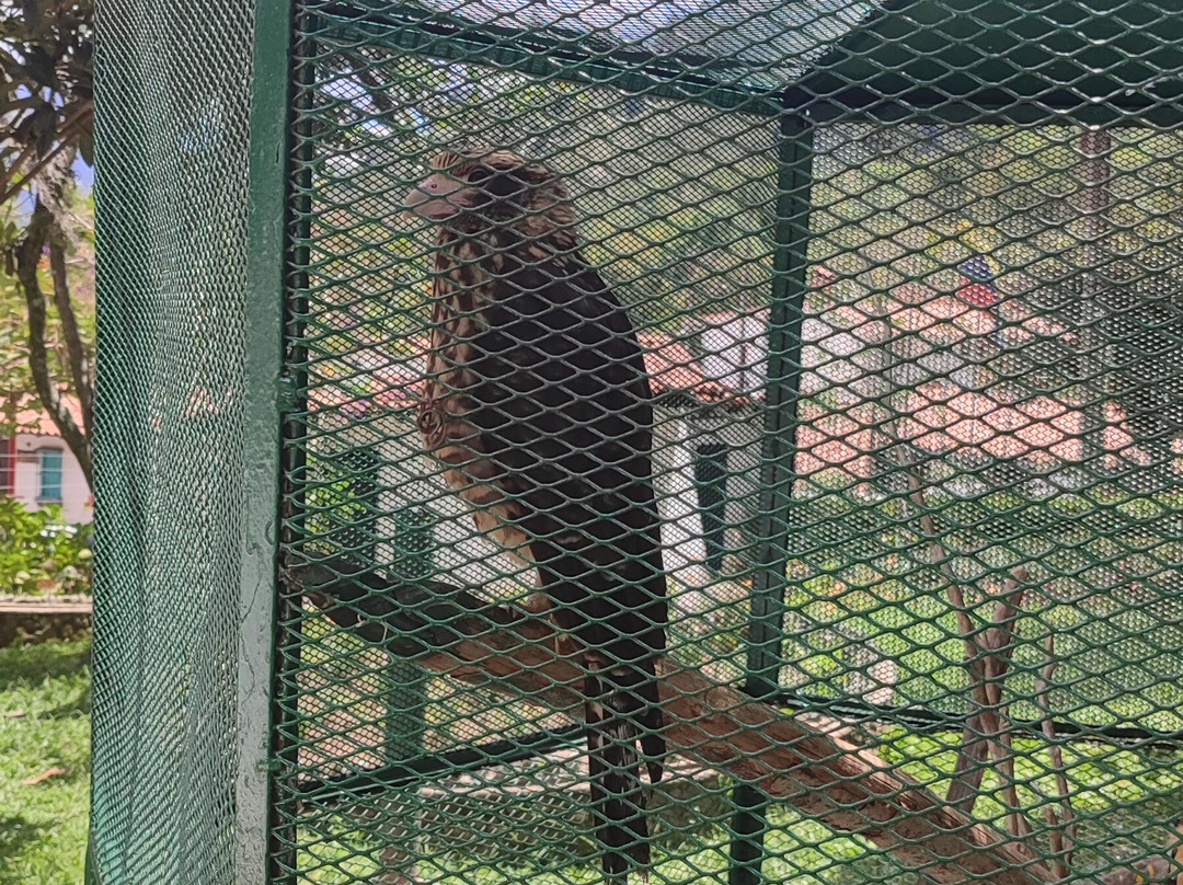 Chorros de Milla Zoo-梅里达市必去景点