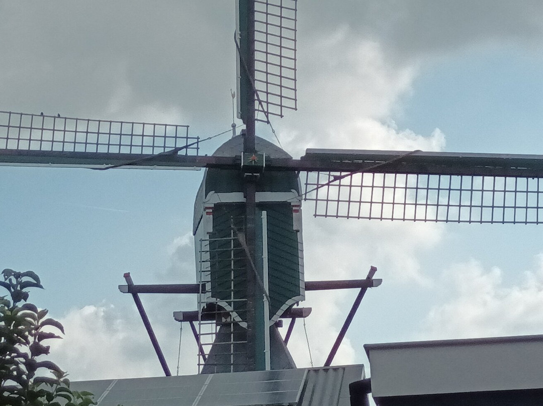 Korenmolen Nieuw Leven景点图片