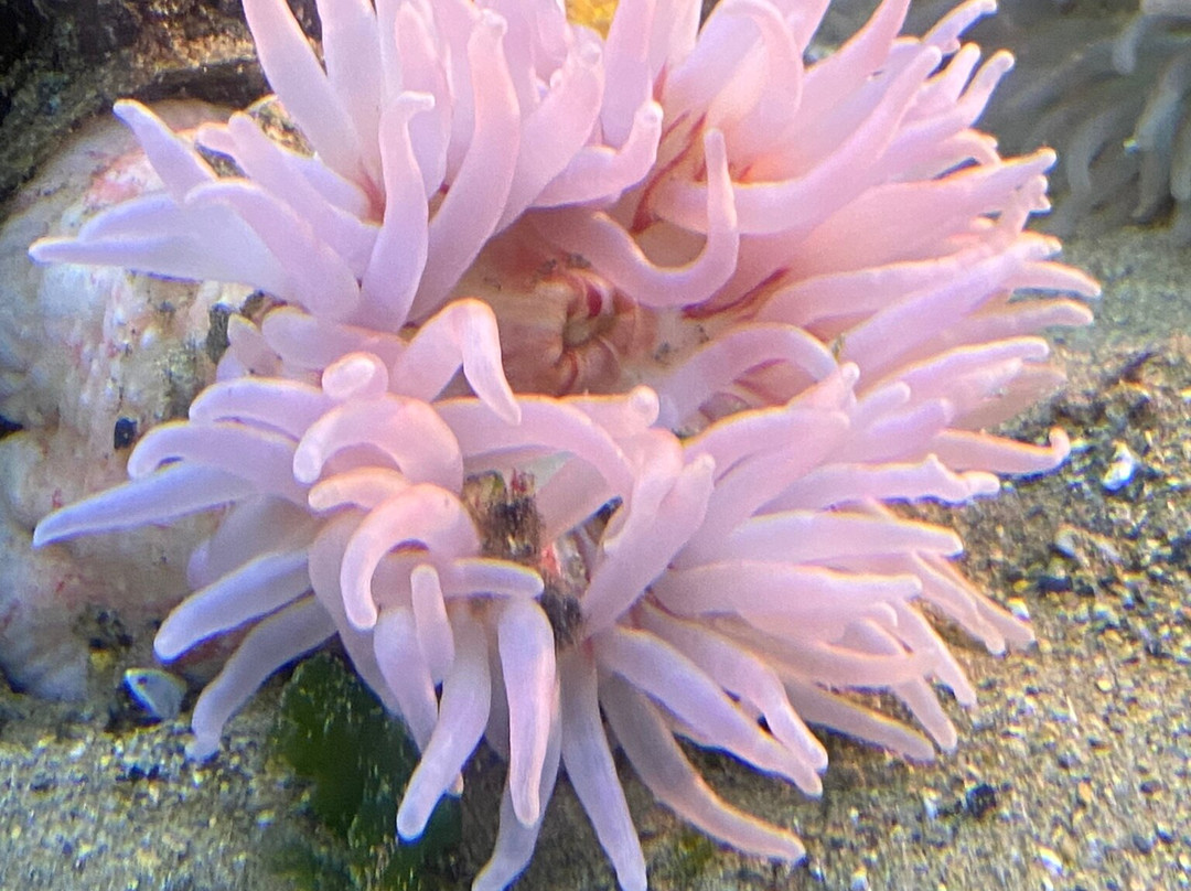 Ocean Lab - Sea Trust Wales-Goodwick必去景点