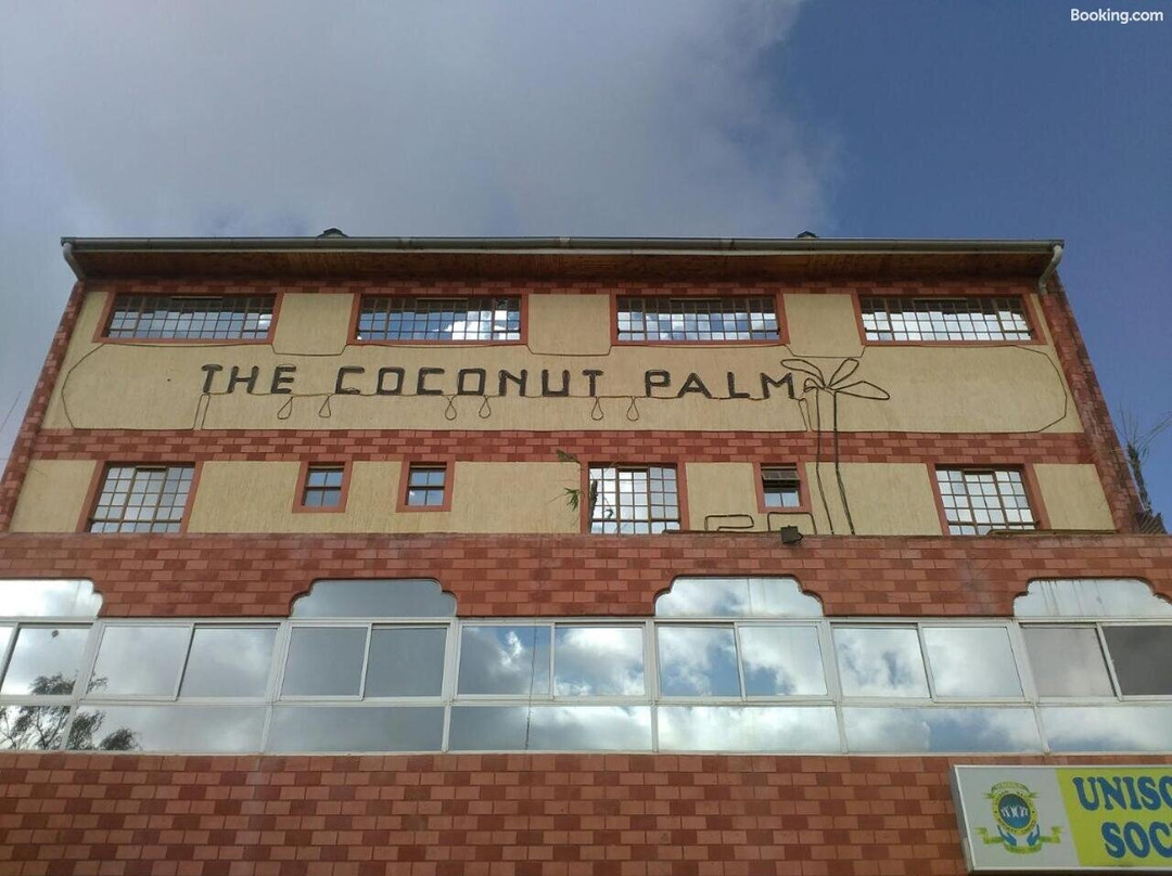 The Coconut Palm Hotel主图