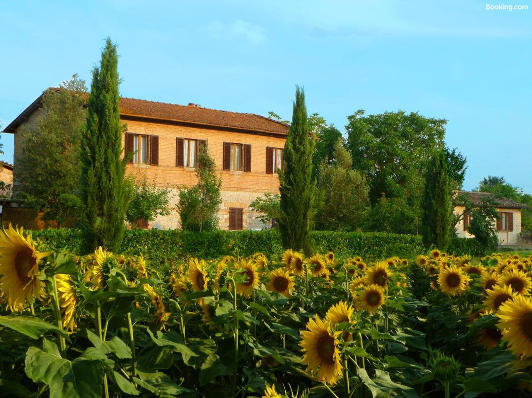 Agriturismo Santa Giuditta主图