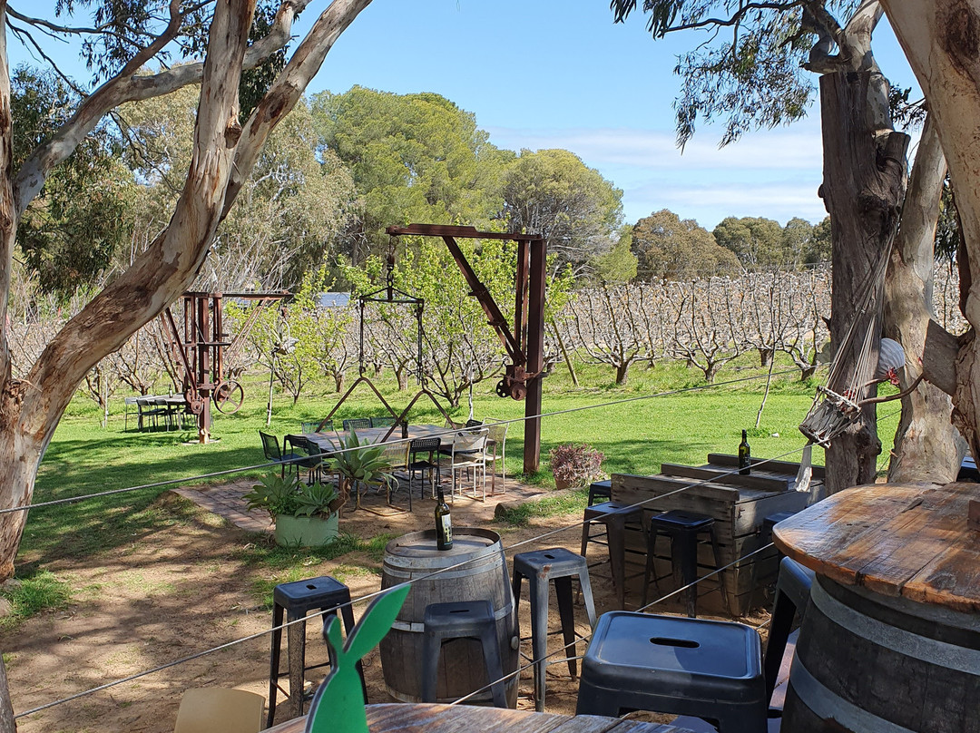 Adelaide Metro Free City Connector Bus and Tram-阿德莱德必去景点