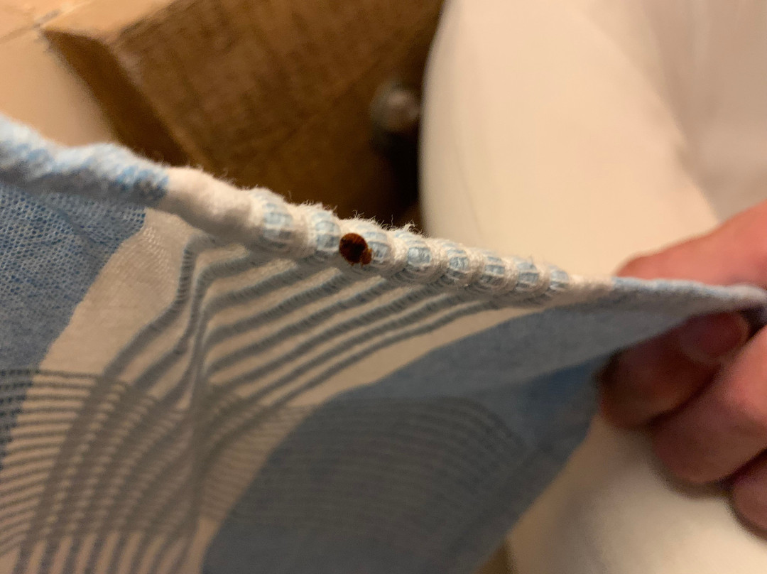 马诺尔鲁斯酒店主图