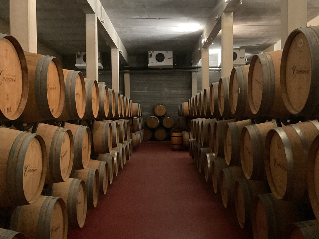 Château Marquis de Vauban景点图片
