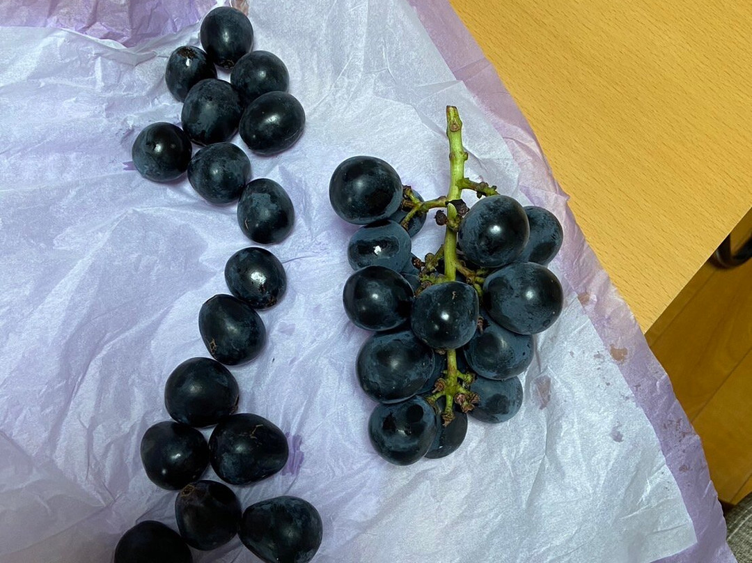 Kodaira Sakaya Farm-千曲市必去景点