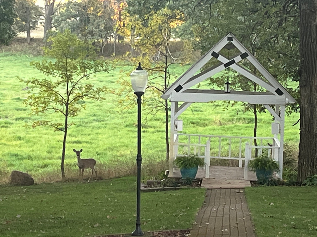 The Oakwood Inn主图