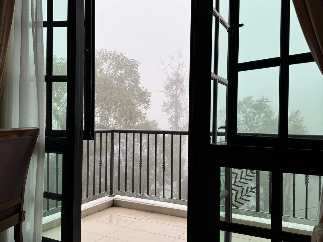 金马仑高原德拉菲儿斯酒店主图