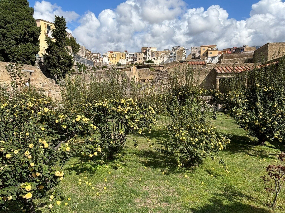 Napoli e dintorni - Archaeological tour guide-庞贝必去景点