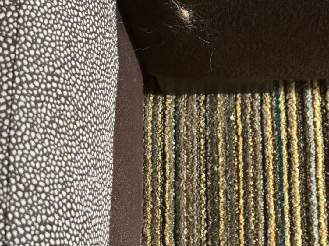 Residence Inn by Marriott Houston Sugar Land/Stafford主图