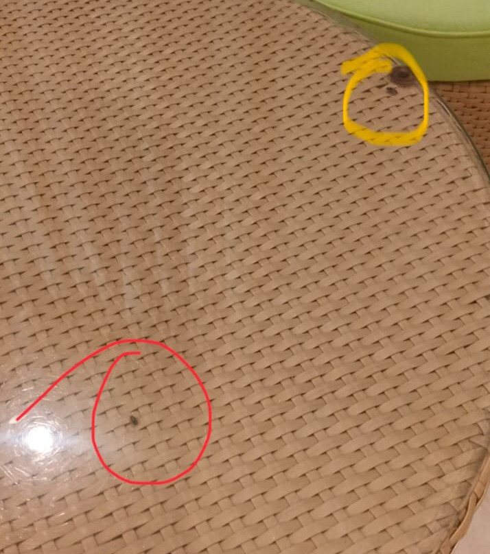 Longuinhos Beach Resort主图