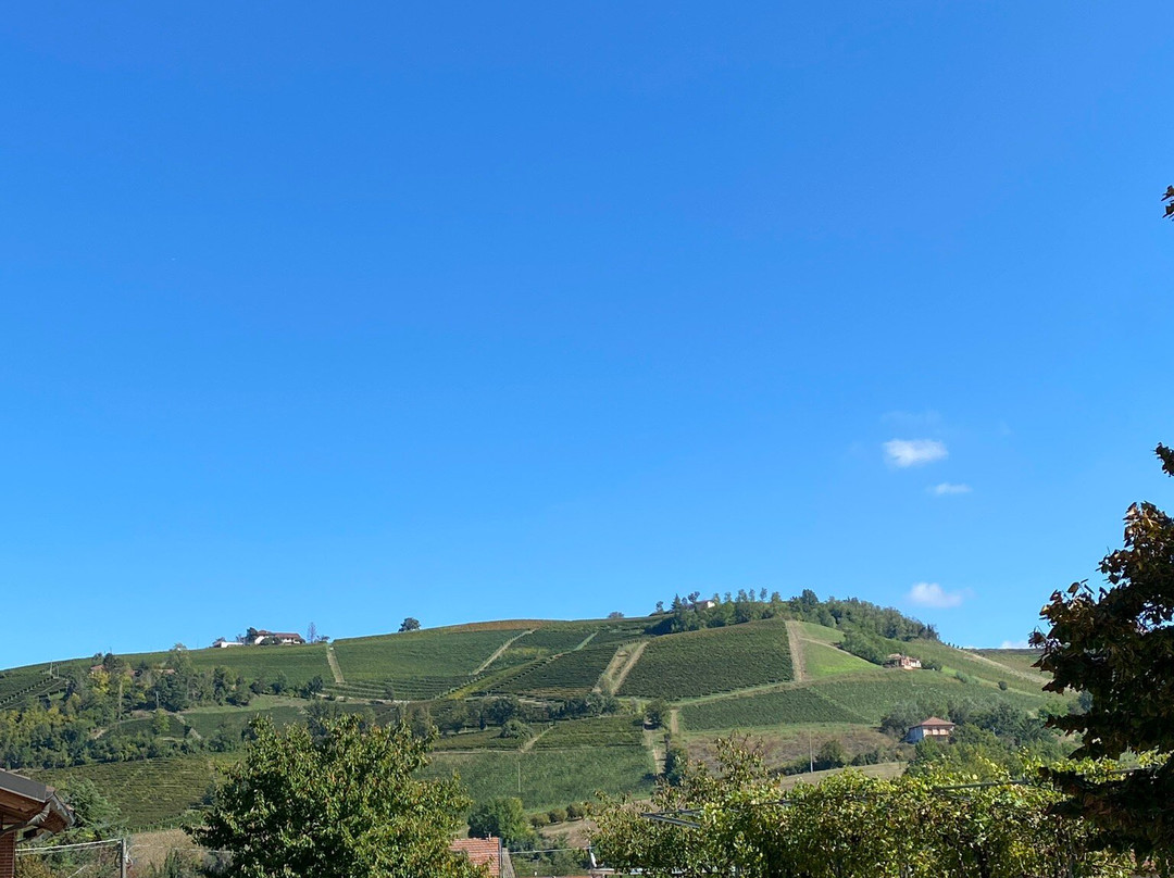 Drocco Luigi Az. Agricola景点图片