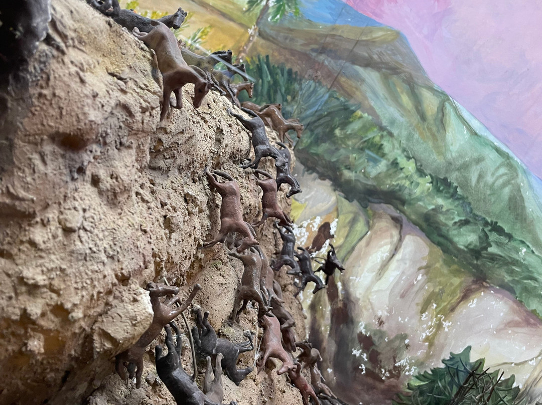 L'Iber Museo de Los Soldaditos de Plomo景点图片