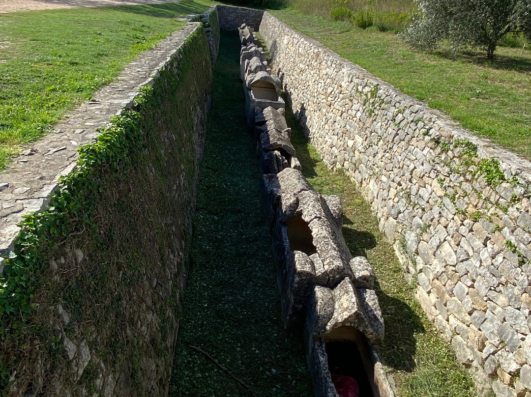 Tusculum Museum景点图片