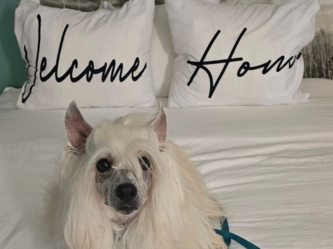 Home Inn Express Medicine Hat主图