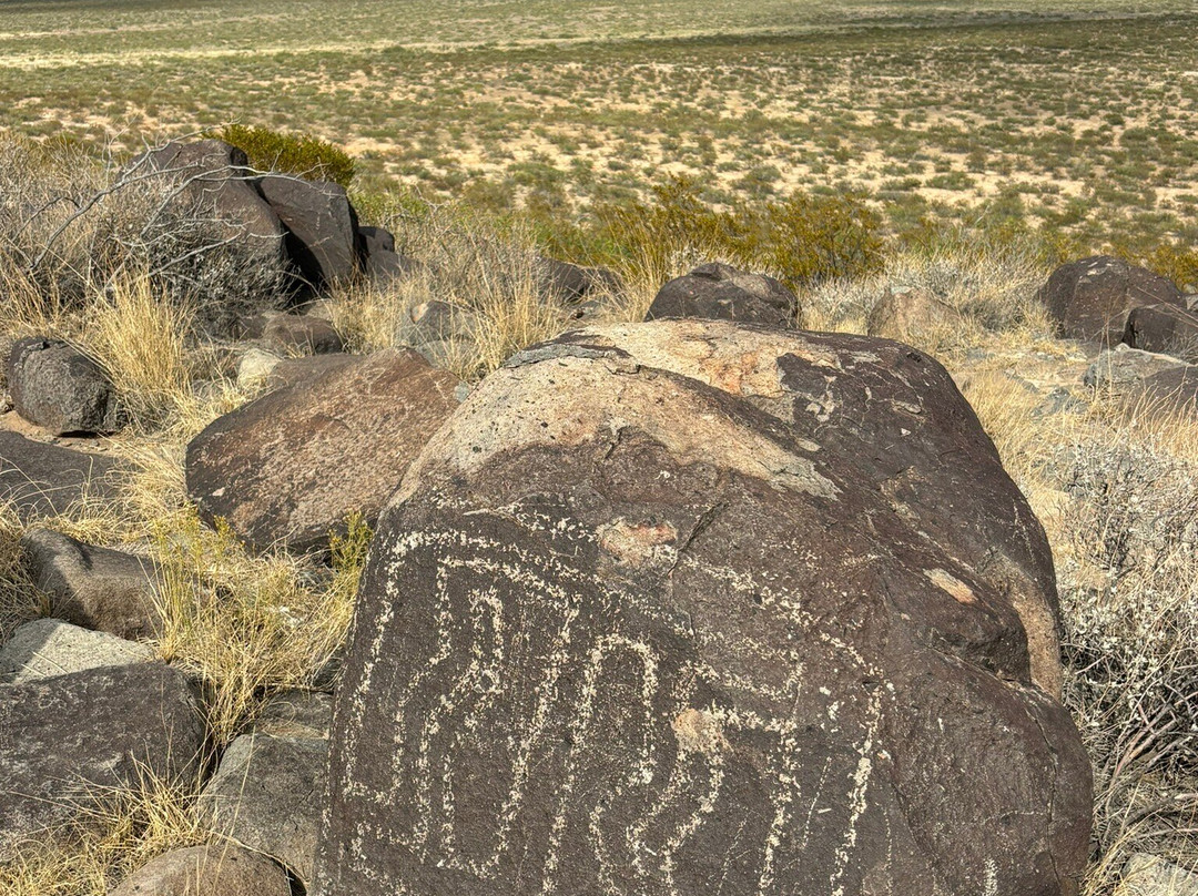 Three Rivers Petroglyph Site-Tularosa必去景点