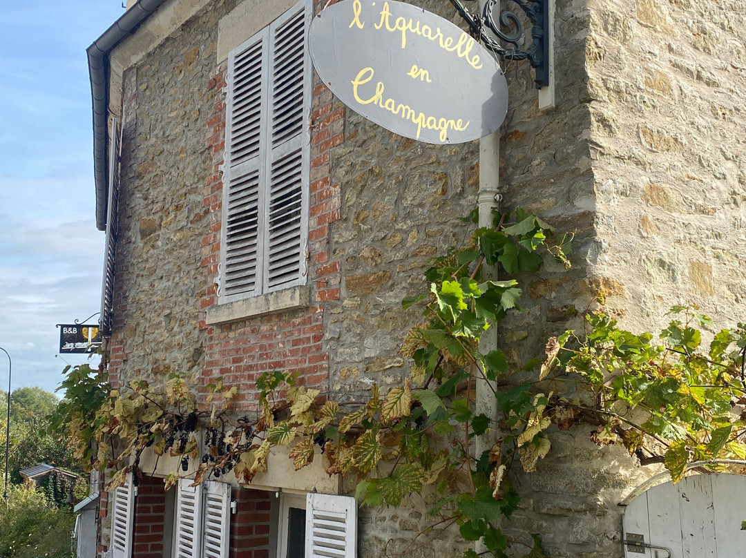 L'aquarelle En Champagne主图
