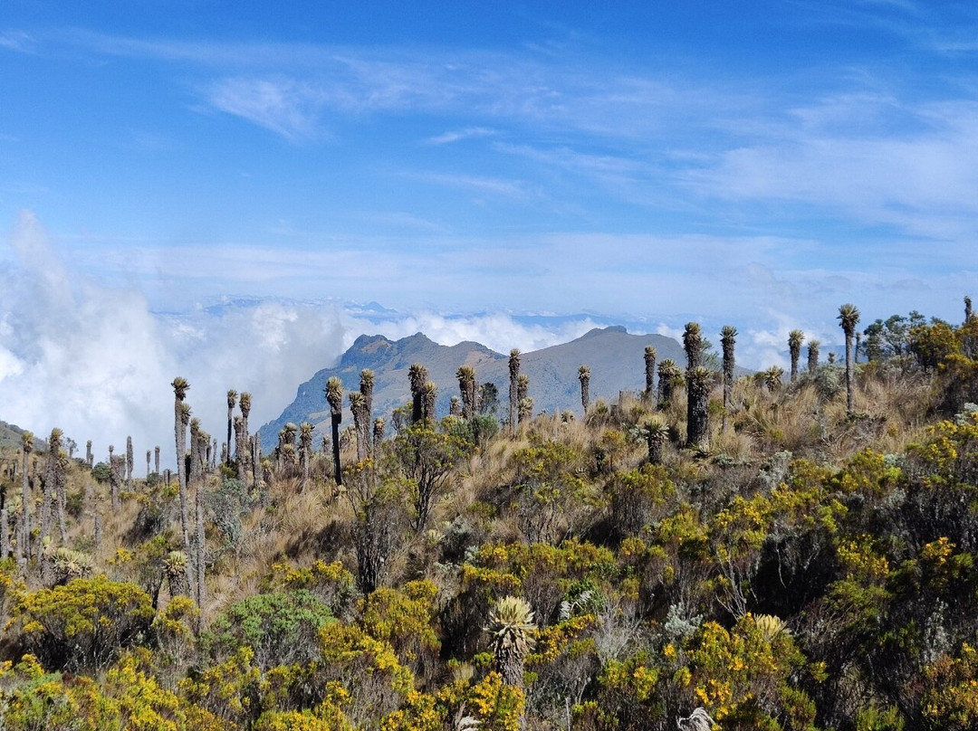 Caldas Ecotravel-Manizales必去景点