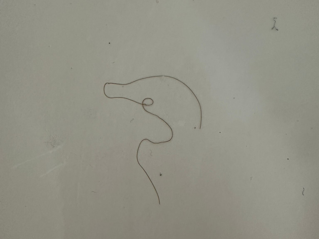 Travelodge Suites Saint John主图