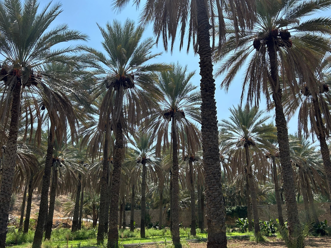 Majan Views Tourism景点图片