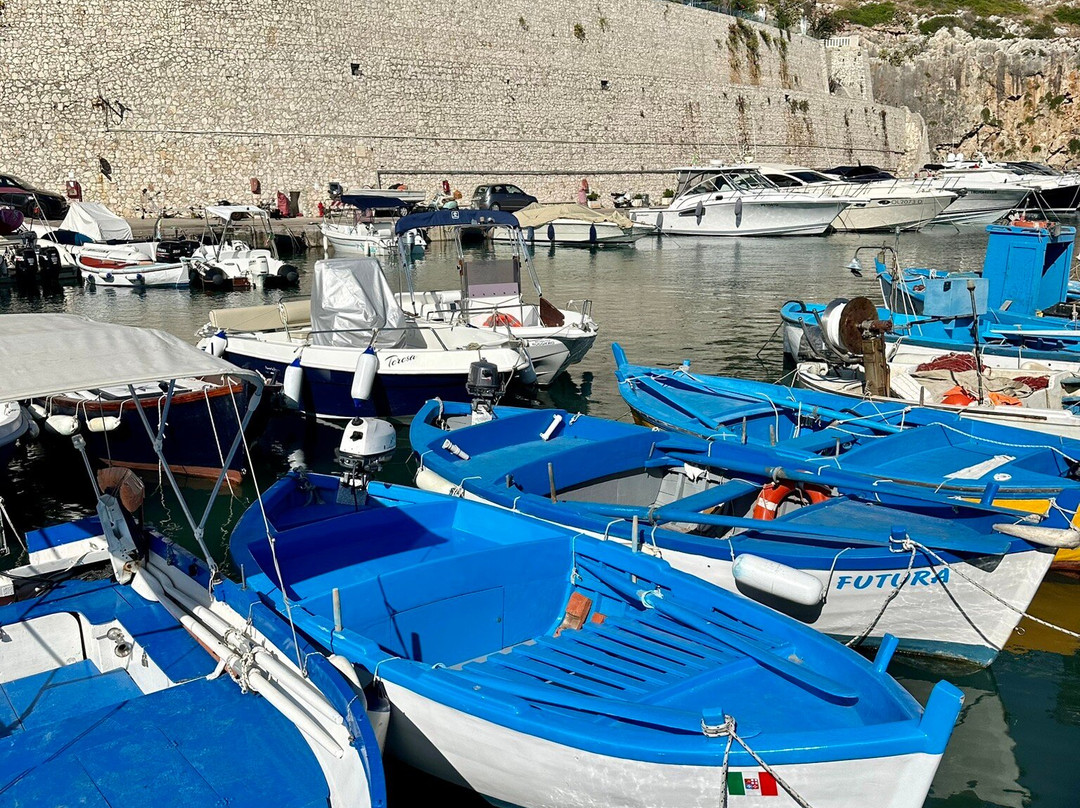 Castro Marina景点图片
