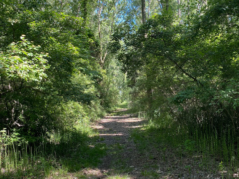 East Harbor State Park-Marblehead必去景点