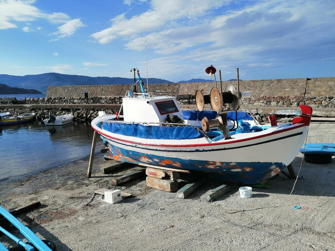 Sea Horse Hotel主图