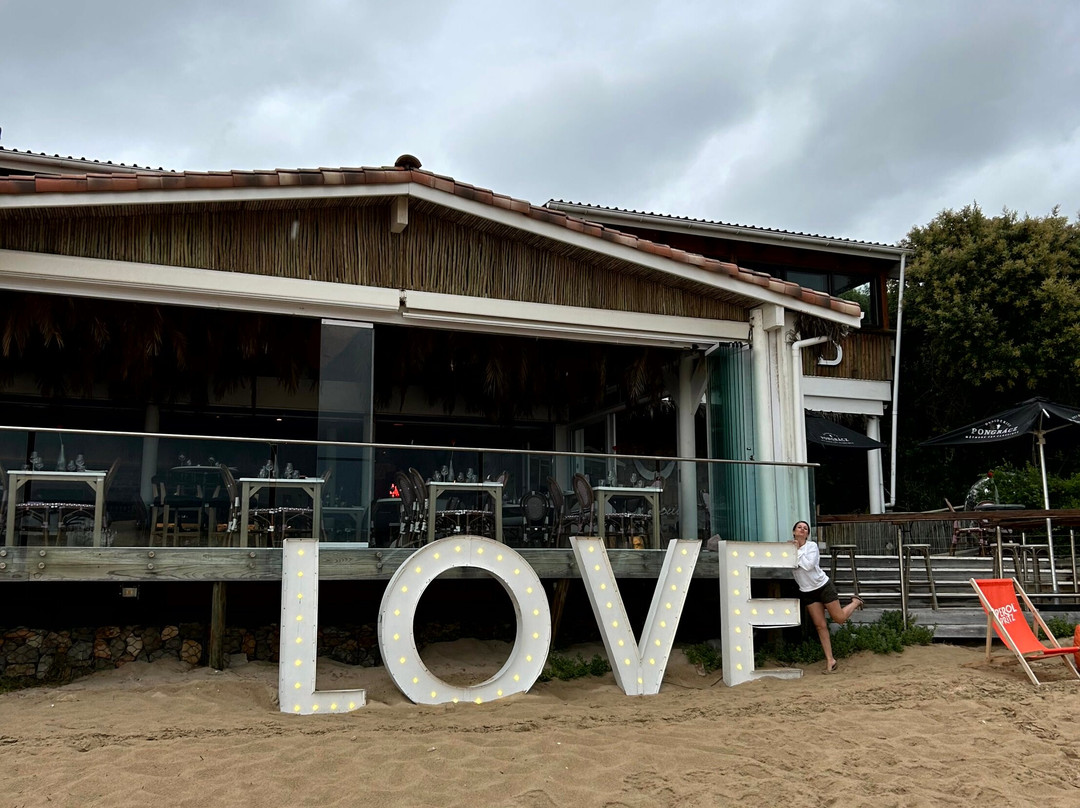 Whale Tail Lookout Point-普利登堡湾必去景点