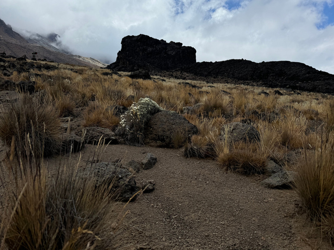 Ungitours-莫西必去景点