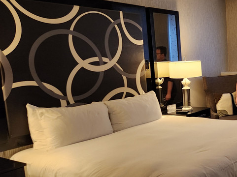 缪斯纽约酒店主图