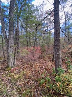 Saco Heath Preserve-萨考必去景点