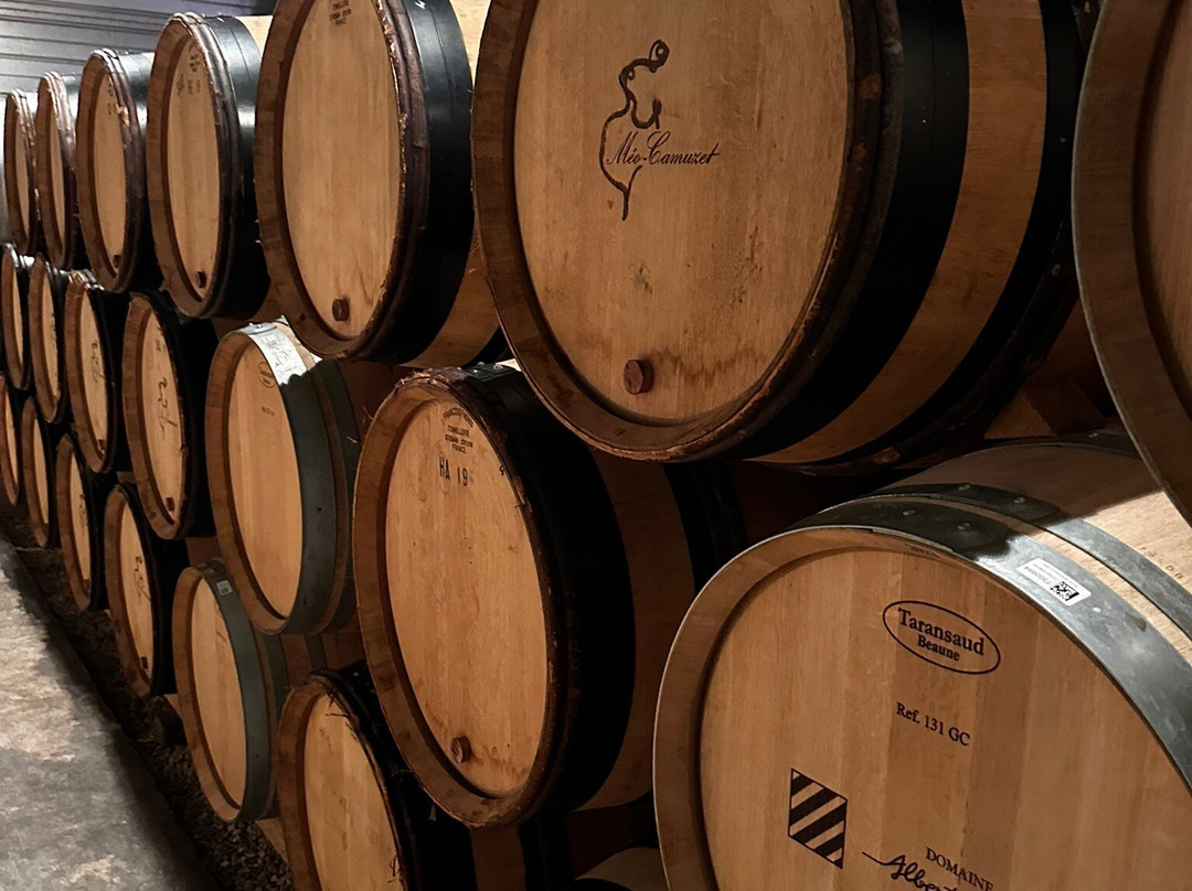 Domaine Albert Mann景点图片