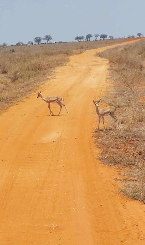 ULTIMATE AFRICA EXPEDITIONS景点图片