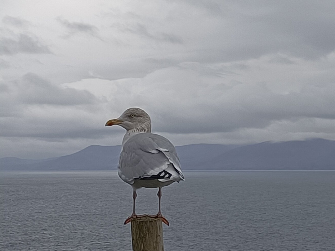 Wild Atlantic Way景点图片