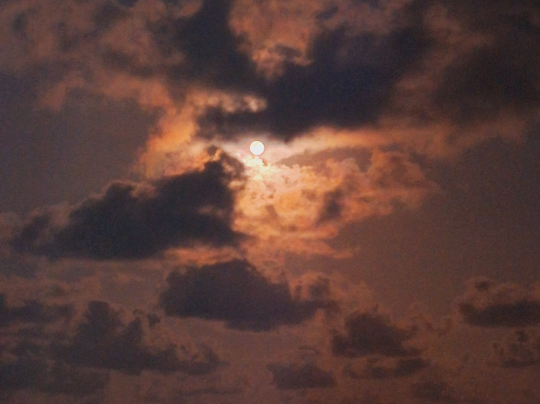 Peroba Beach-Maragogi必去景点