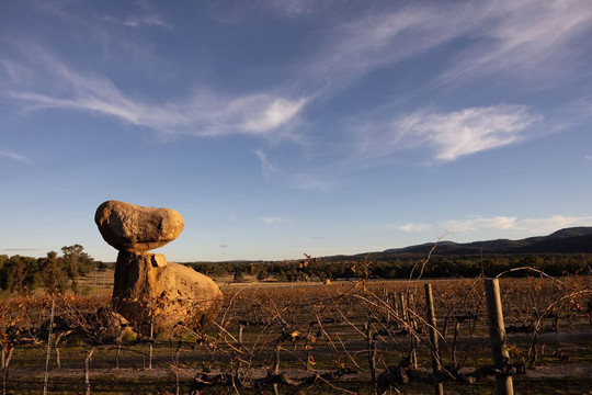Balancing Heart Vineyard-Wyberba必去景点