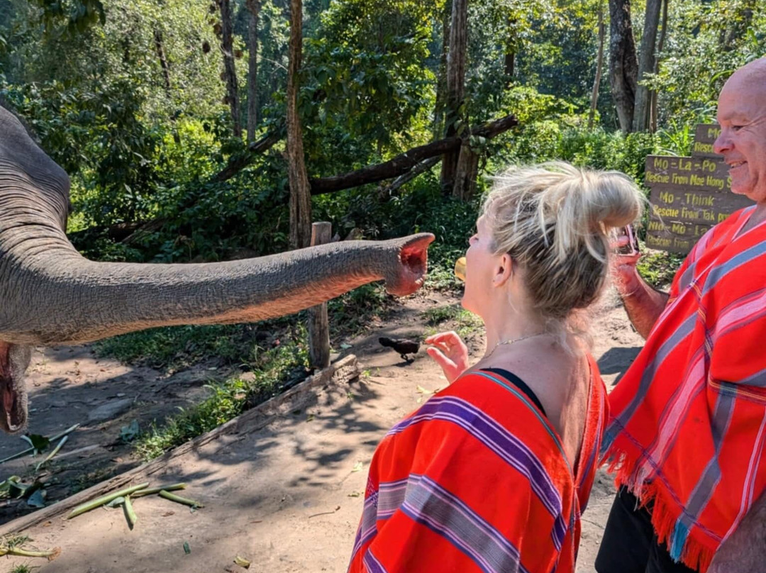Chiangmai Elephant Sanctuary-清迈必去景点