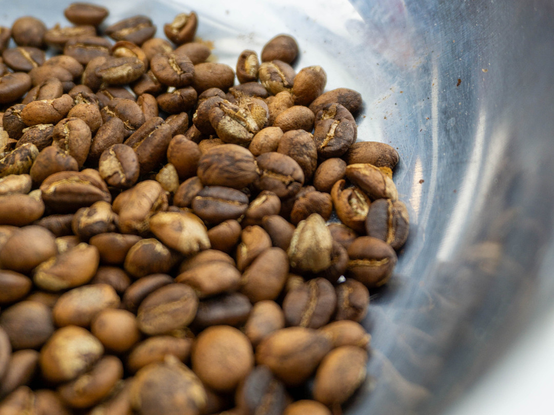 Maranura Tours-Maranura必去景点