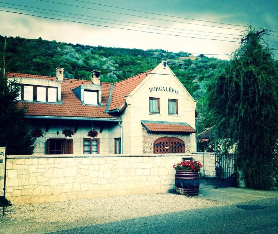 Borgaleria