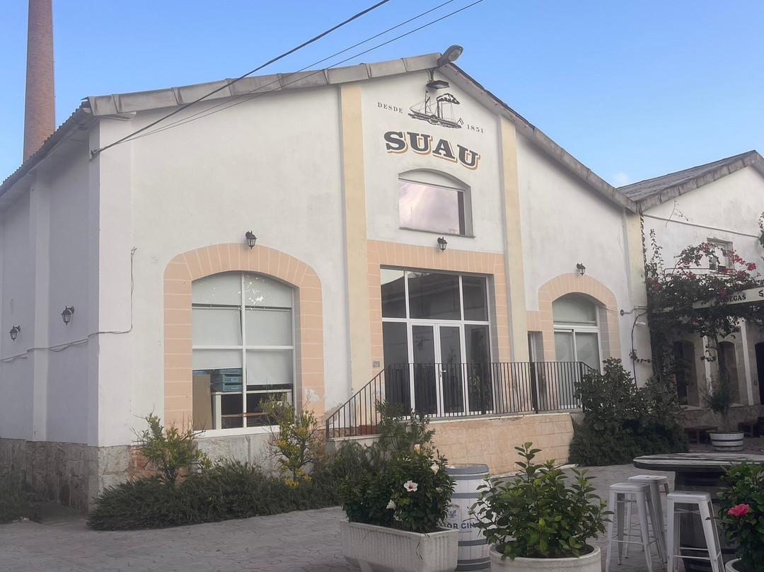 Bodegas Suau景点图片