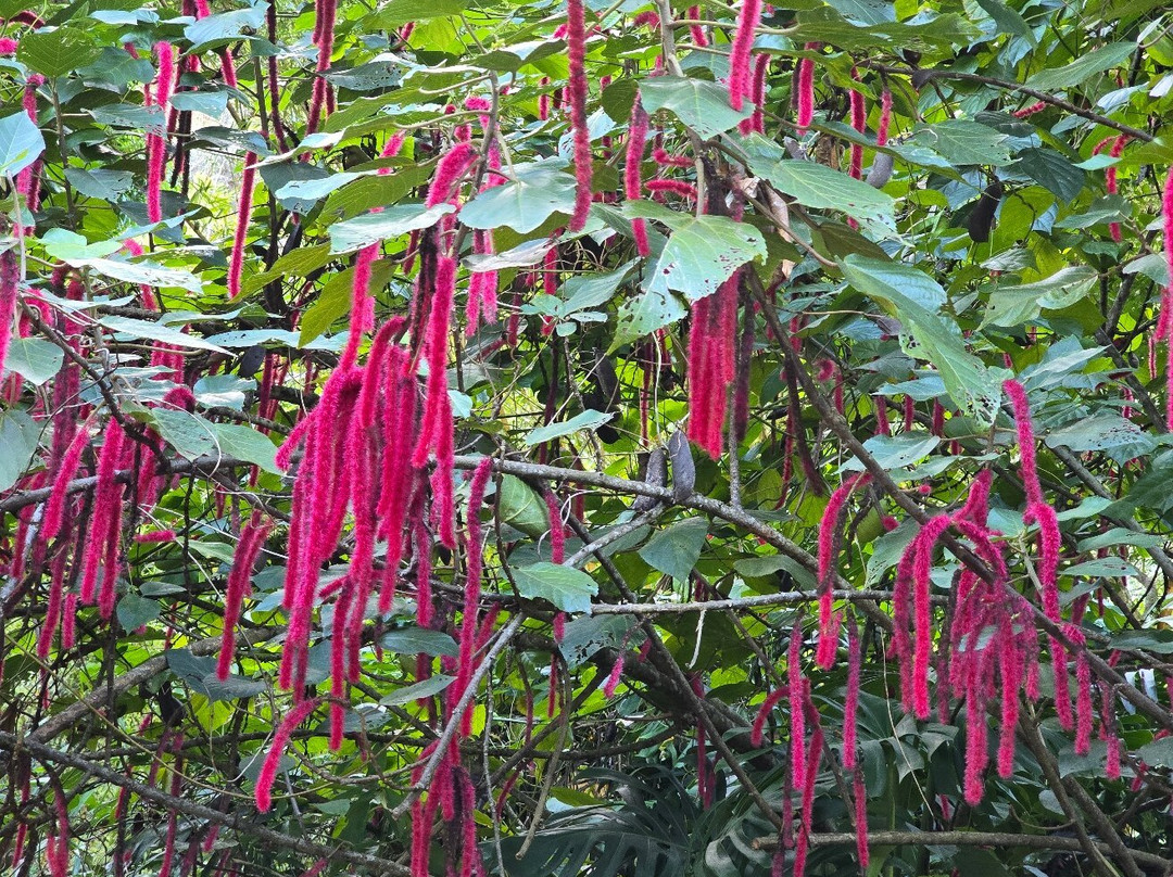 Waimea Falls-Pupukea必去景点