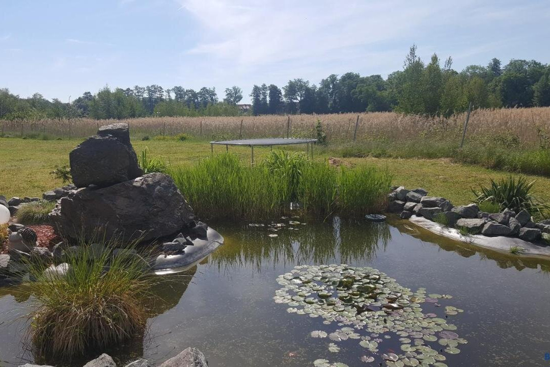 Ferienhaus am Teich