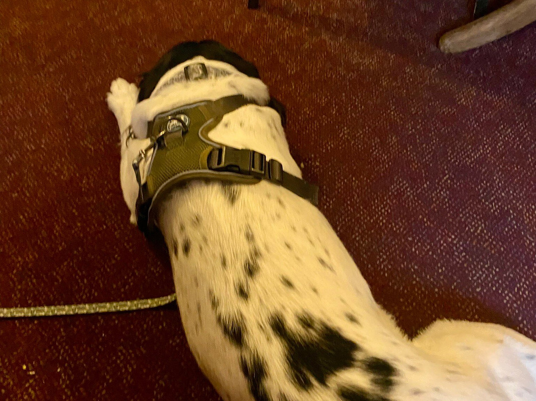 The Bay Horse Inn主图