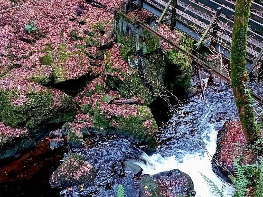 Rumbling Bridge Falls-Dunkeld必去景点