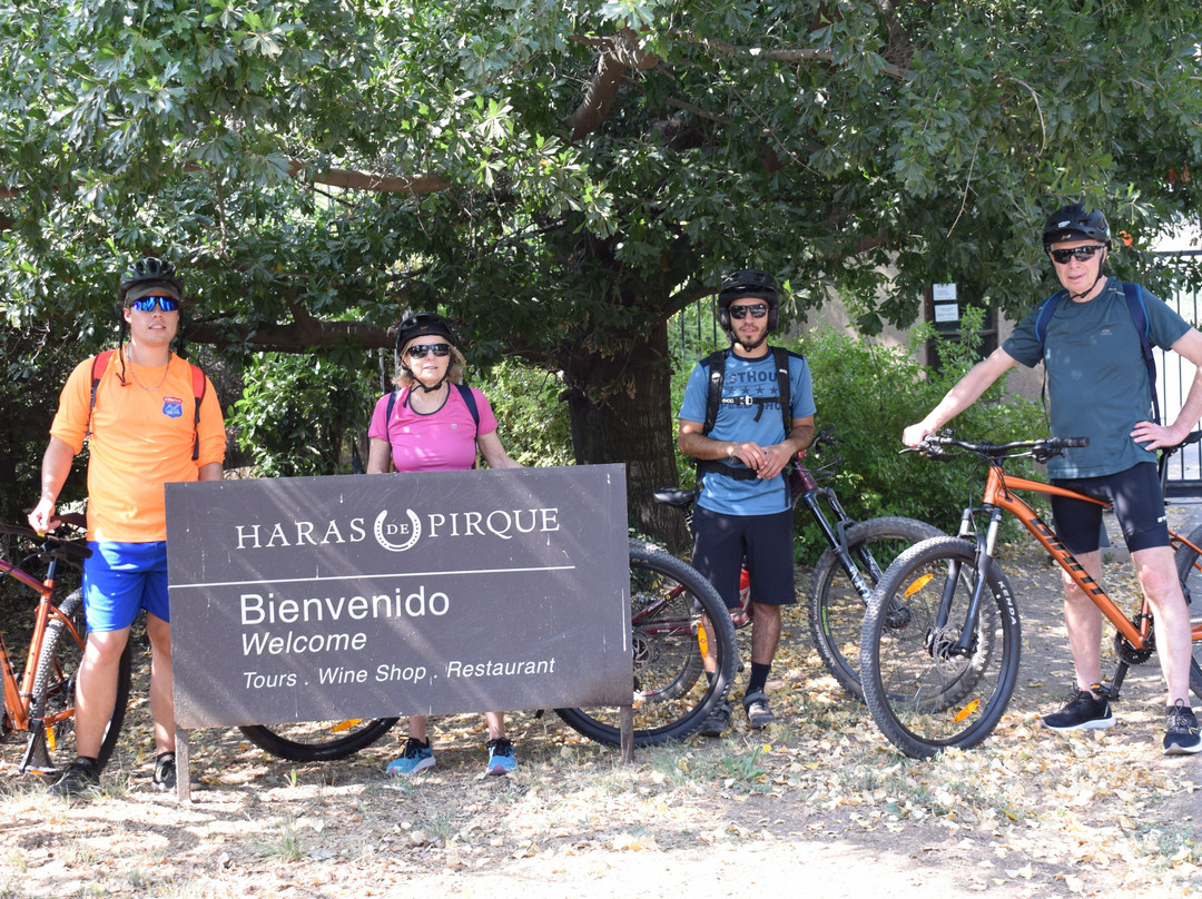 G Bike Tours景点图片