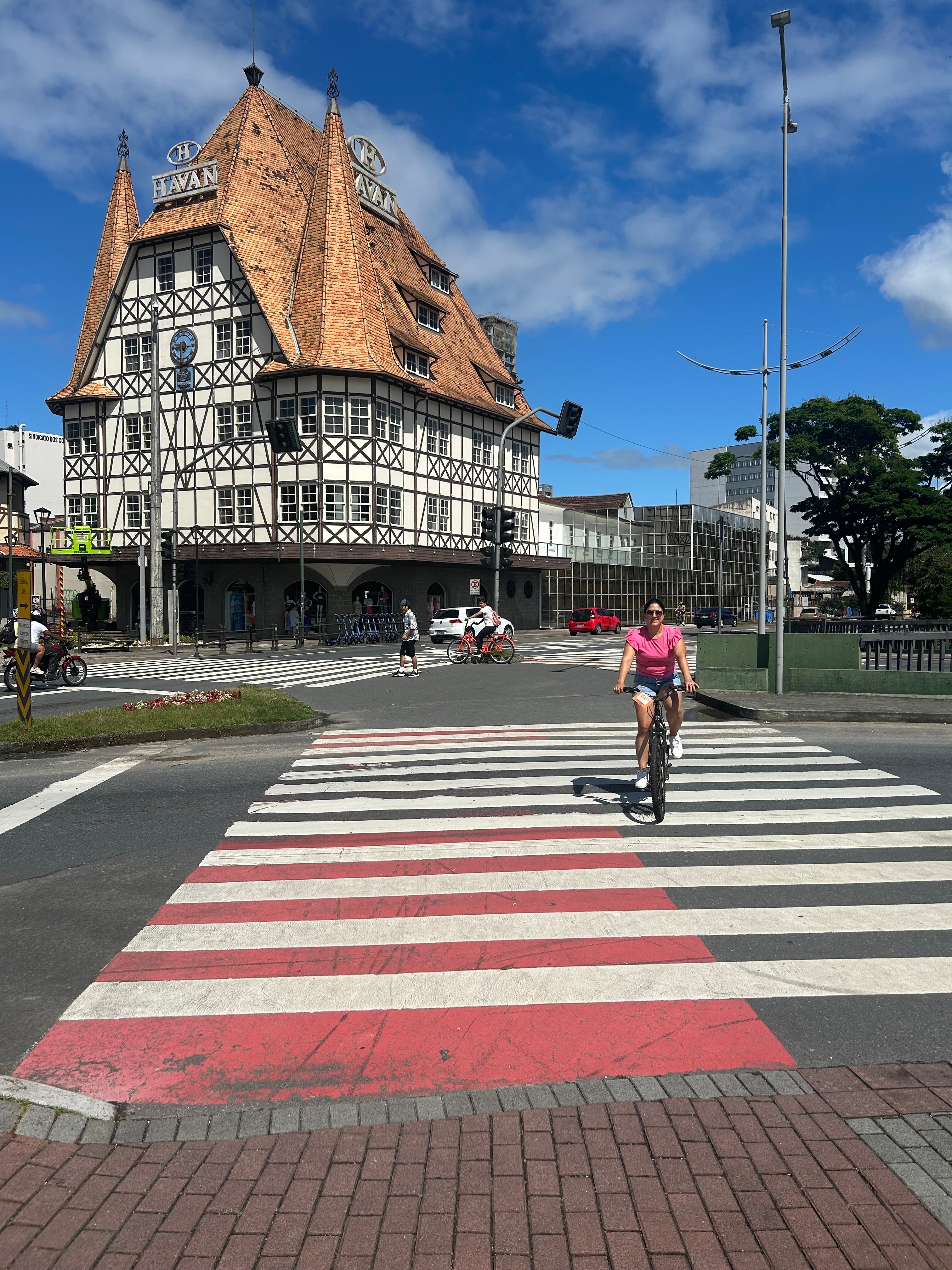 Ibis Hotel Blumenau-官方